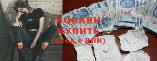 спайс Алексин